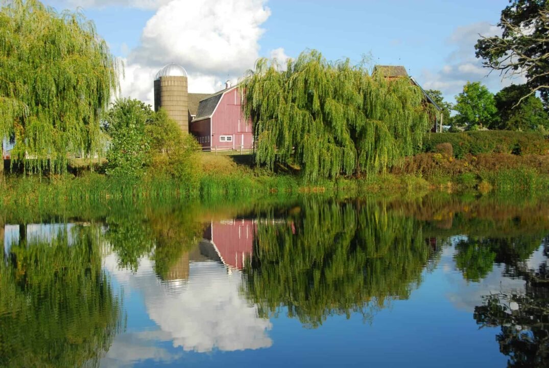 1 Airport Car Service Chicago O'hare Lindenhurst (IL)